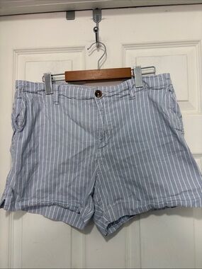 H&M Light Blue and White Striped Casual Shorts